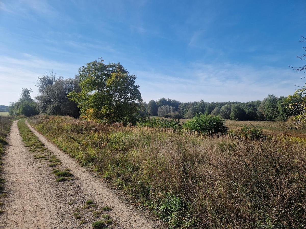 Geraeumige Und Zentrale Ferienwohnung Stahnsdorf Luaran gambar